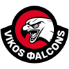 ASI Vikos Falcons Academy