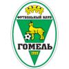Гомель 2