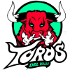 Toros Del Valle