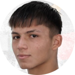 B. Araneda