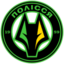 Полесье U21